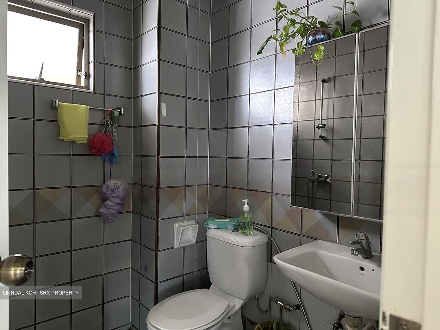 Buona Vista Gardens (D5), Condominium #507797911